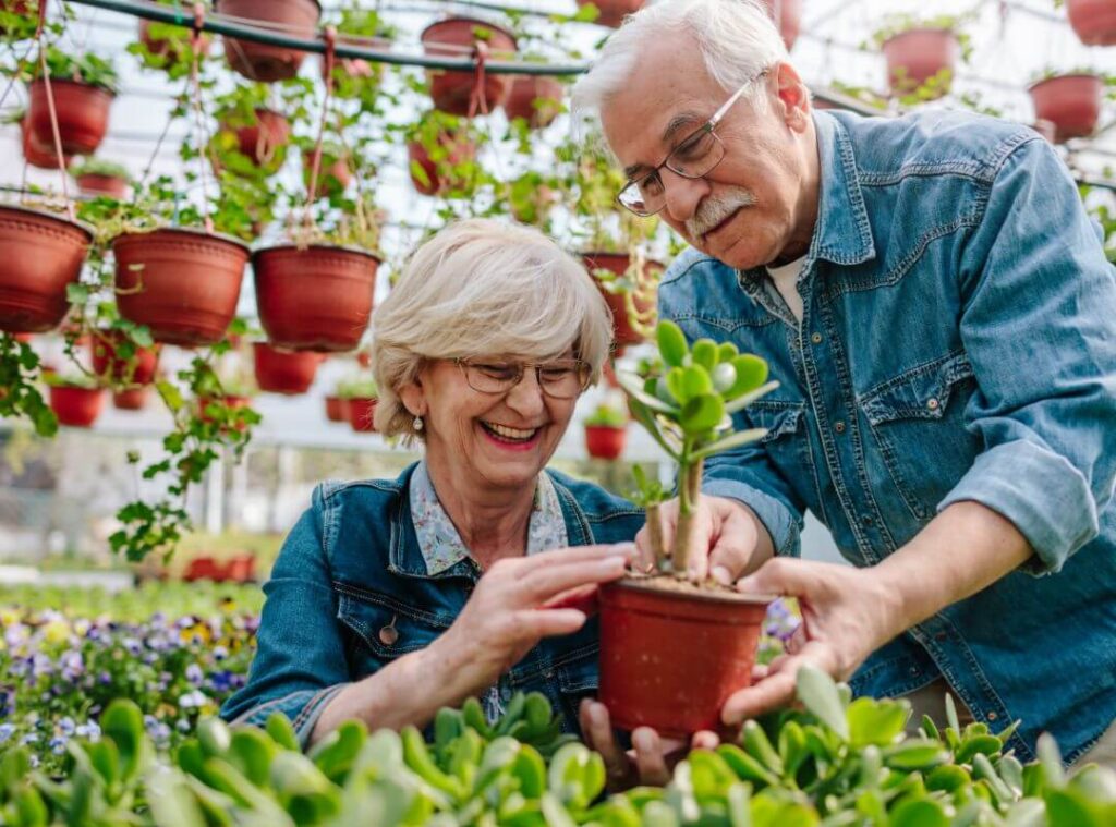 Jardineria para personas mayores