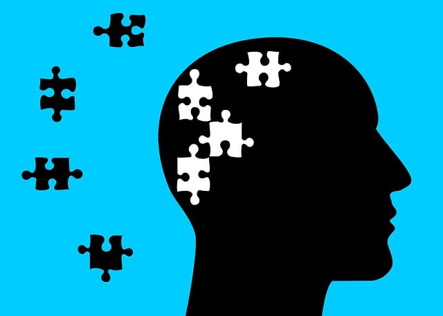 Demencia en Personas Mayores: Guía Práctica para Cuidadores